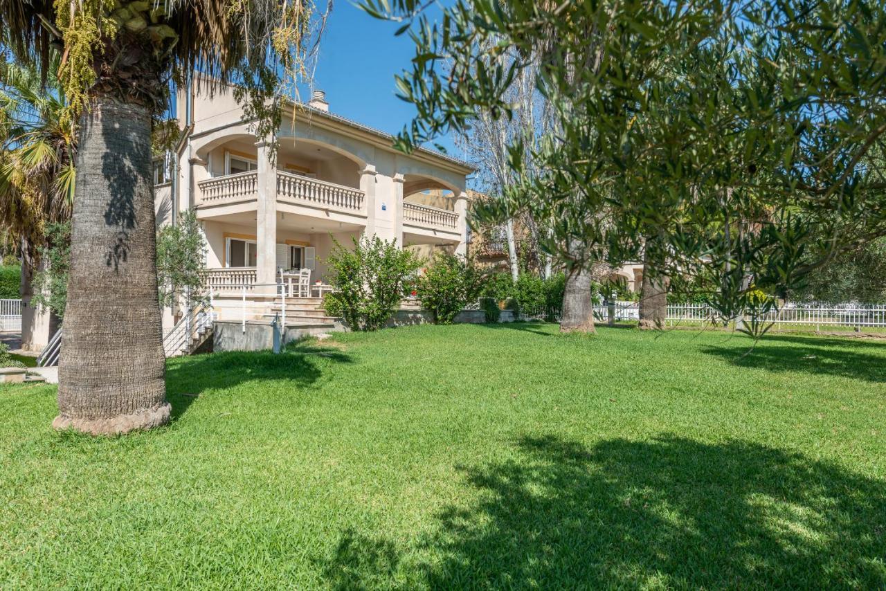 Countess Garden 2-2, Sun Of The Bay Vidalba 2, At