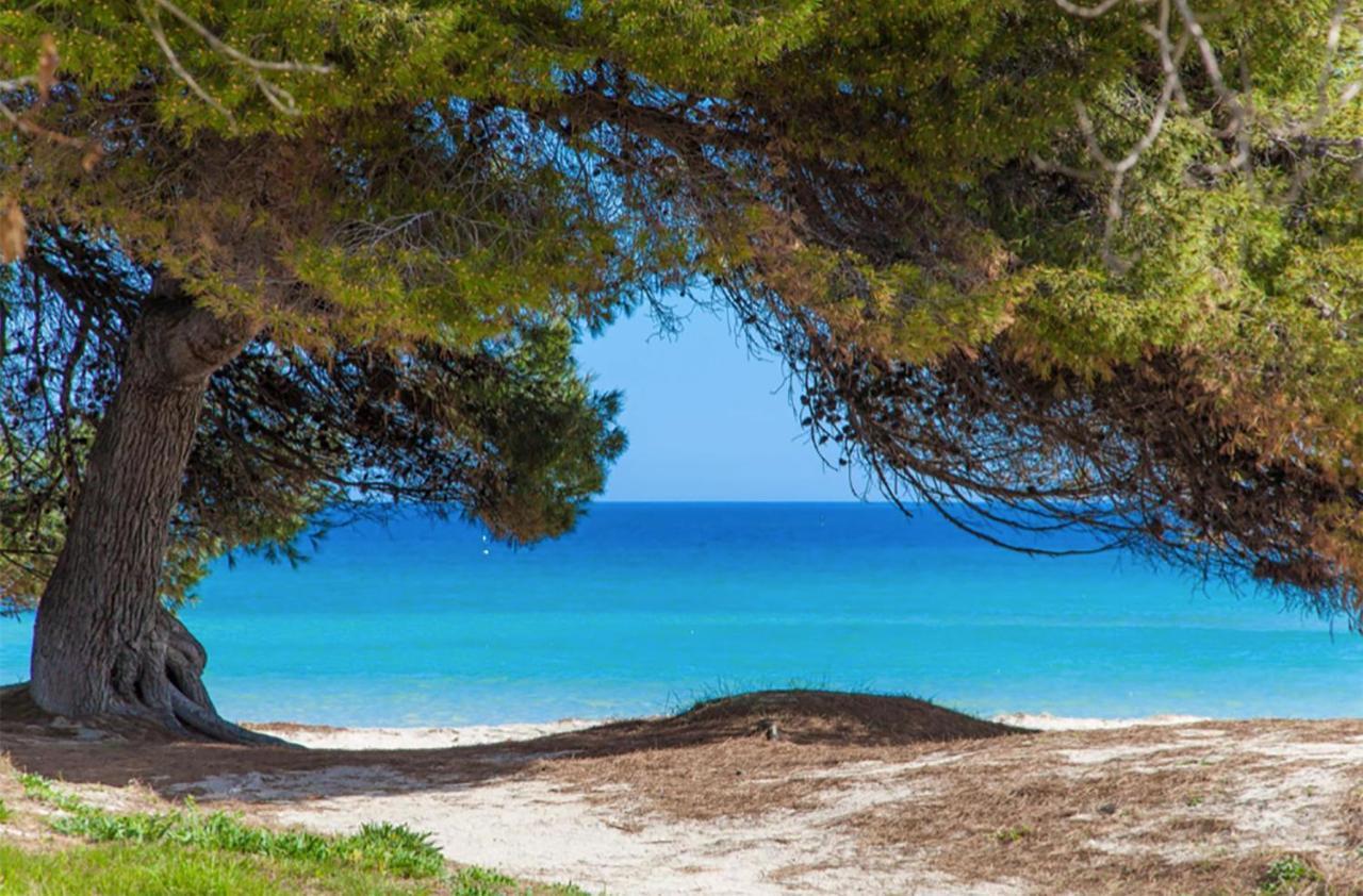 Apartment Countess Garden 2-2, Sun Of The Bay Vidalba 2, At